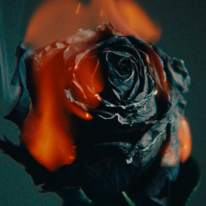 叶山小百合HD在线观看
