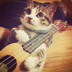 叶山小百合HD在线观看
